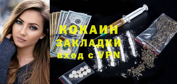 спиды Богданович