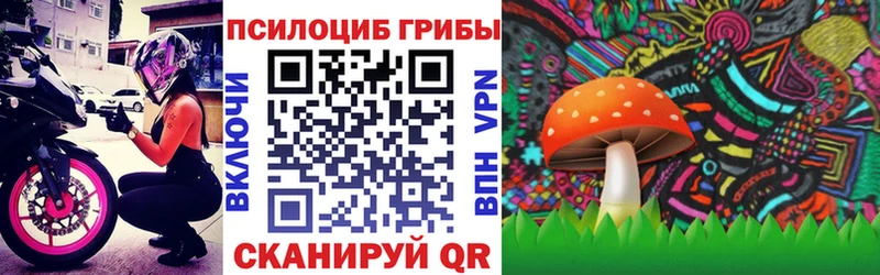 Галлюциногенные грибы Cubensis  Дальнереченск 